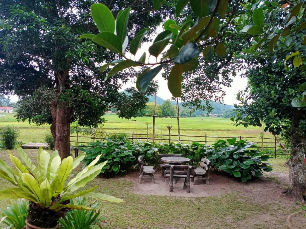 Kampung Tok Lembut Vacation Home Pantai Cenang  Exteriör bild