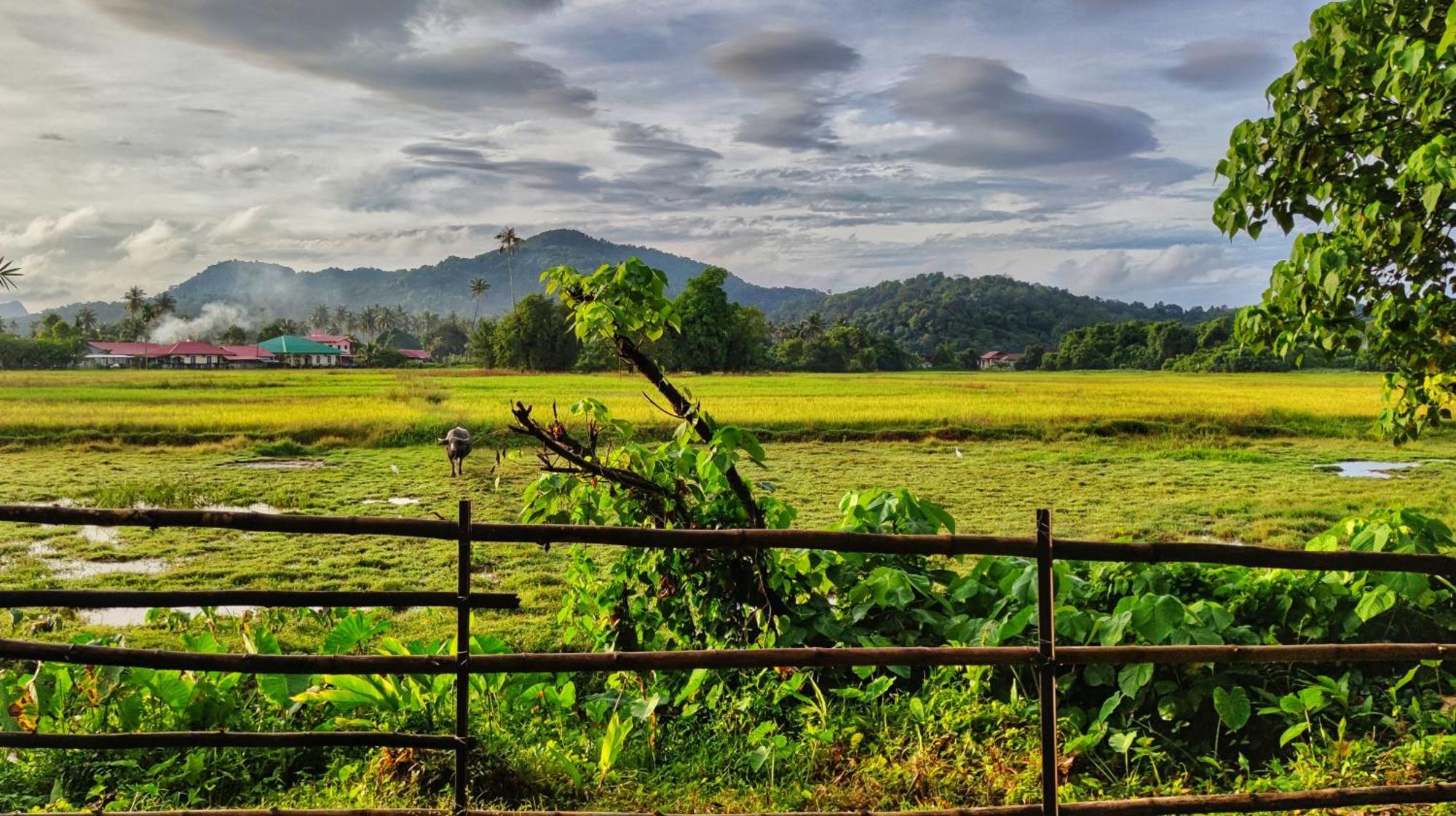 Kampung Tok Lembut Vacation Home Pantai Cenang  Exteriör bild