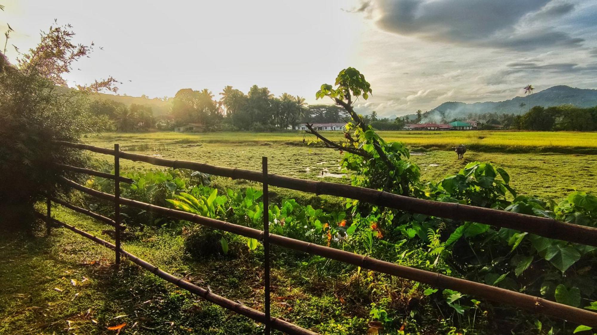 Kampung Tok Lembut Vacation Home Pantai Cenang  Exteriör bild